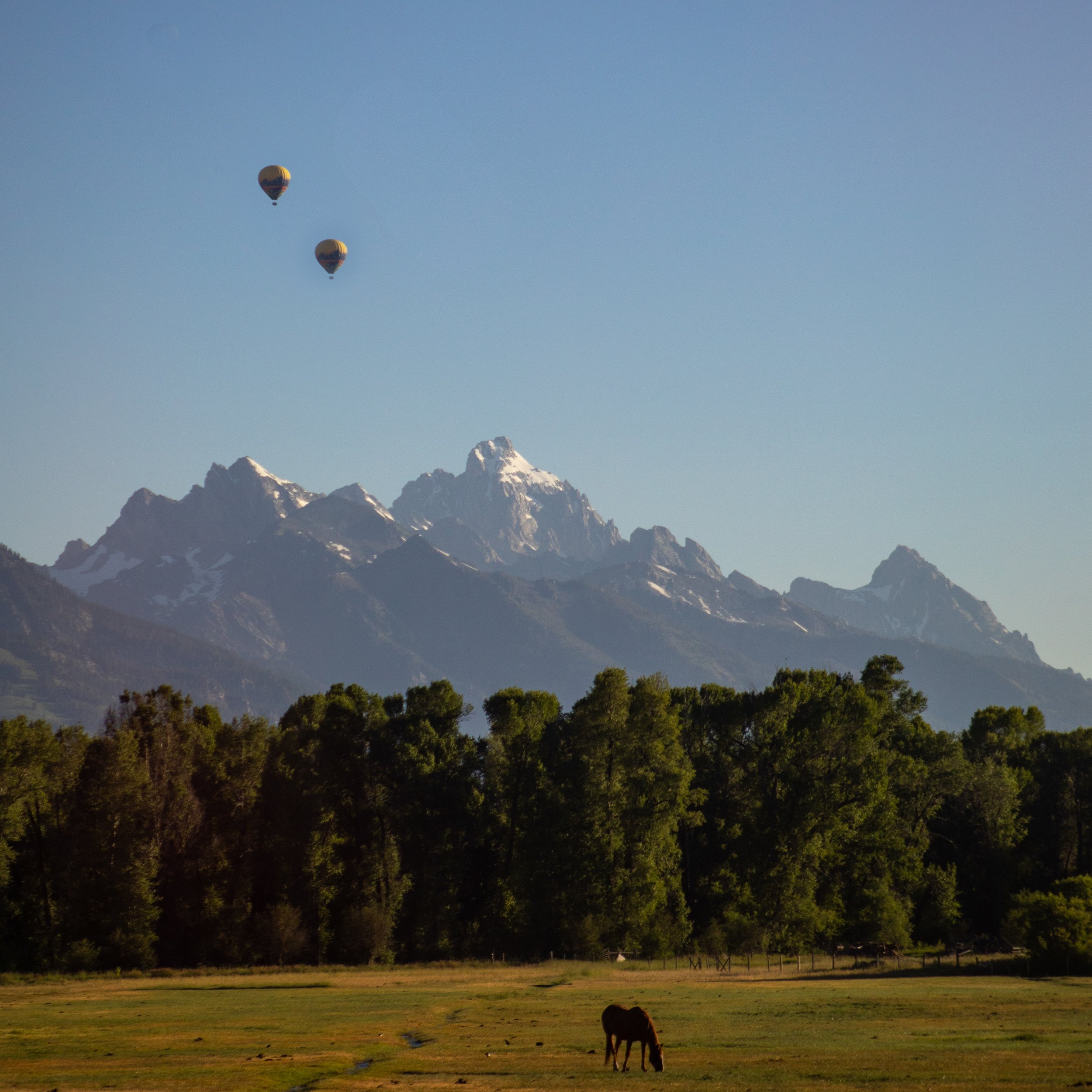 Two hot air balloons floating over a mountain range with snow-capped peaks, trees, and a grassy field with a grazing horse in the foreground.
