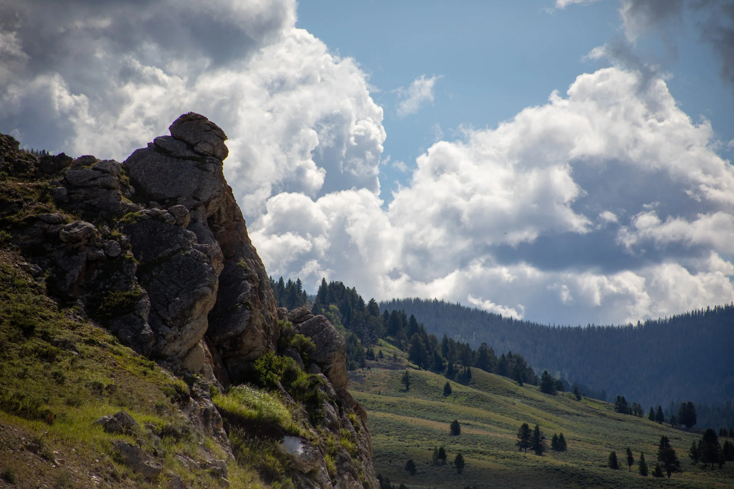Scenic mountain landscape with a rocky hillside on the left, green fields, and a forested valley under a blue sky with scattered white clouds.
