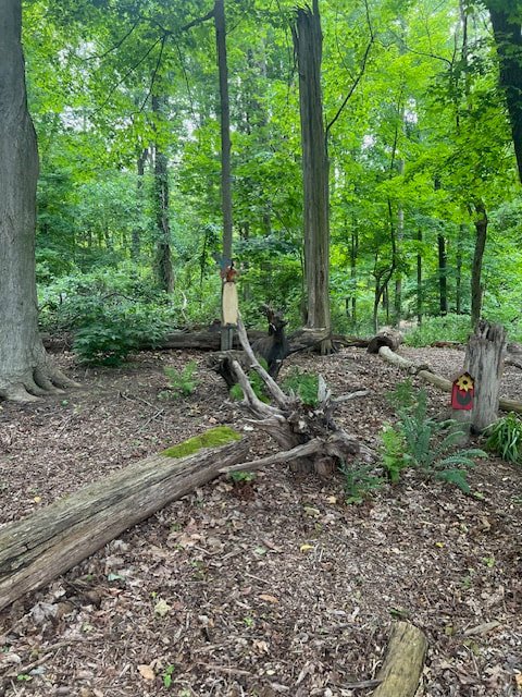 Stumpery