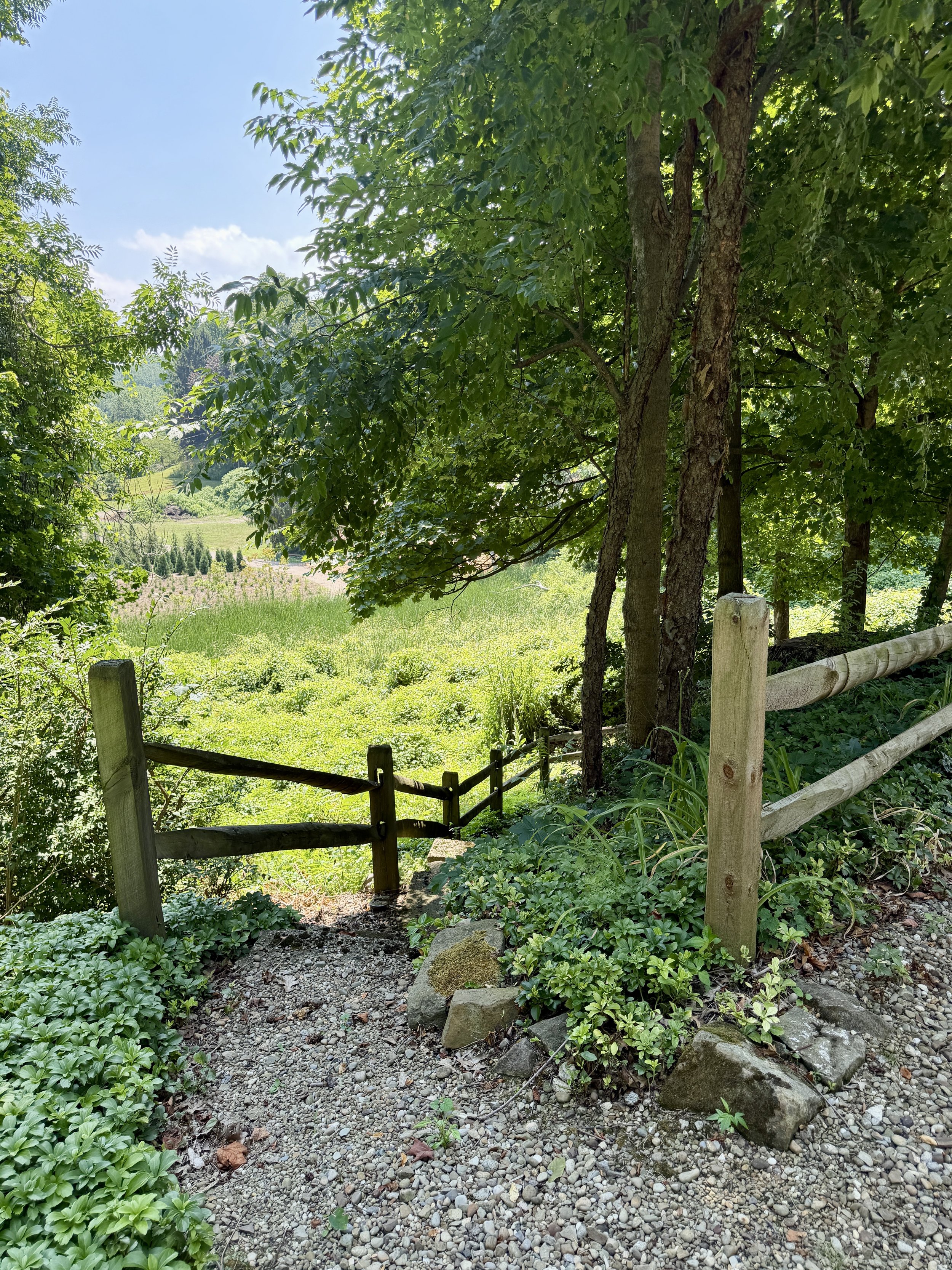 Back path