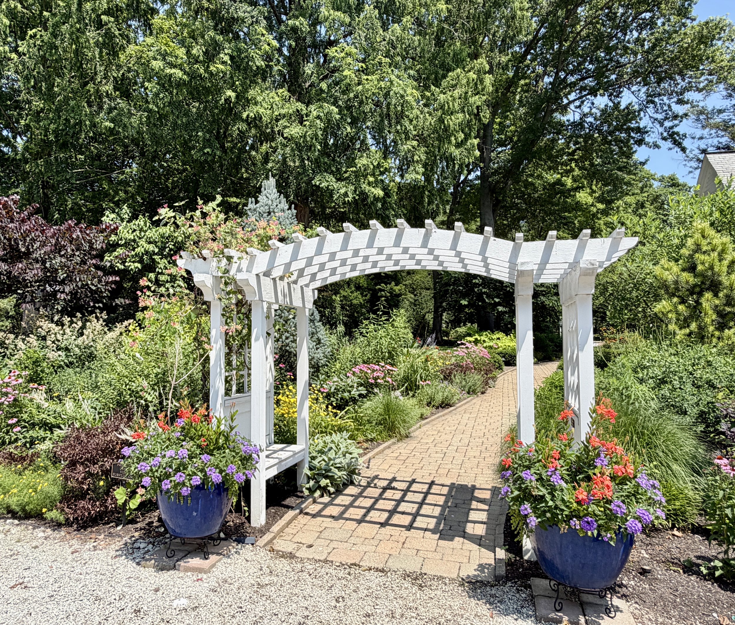 Garden arch in July