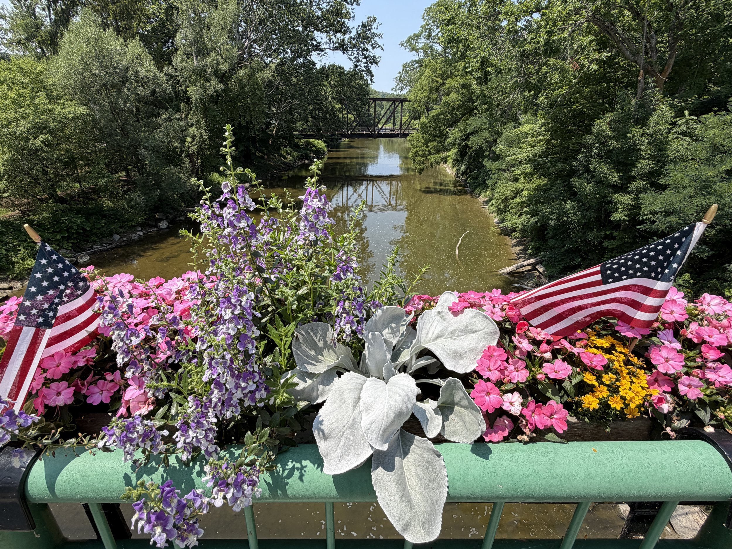 South bridge box in July
