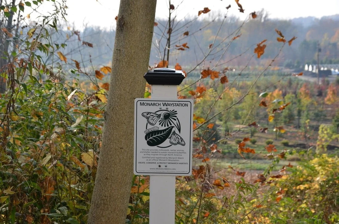 Monarch Waystation