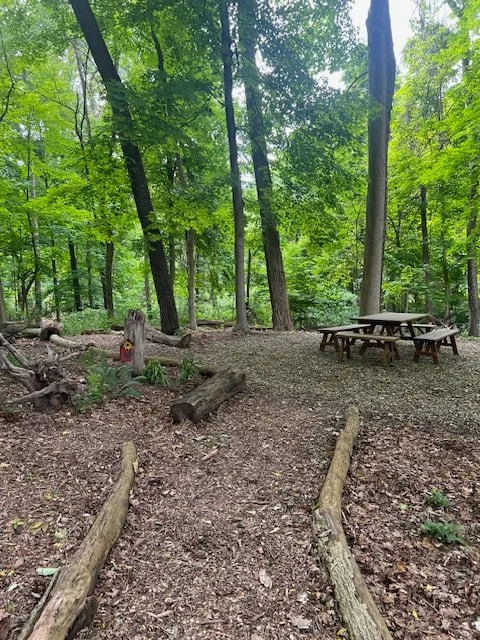 Woodland path