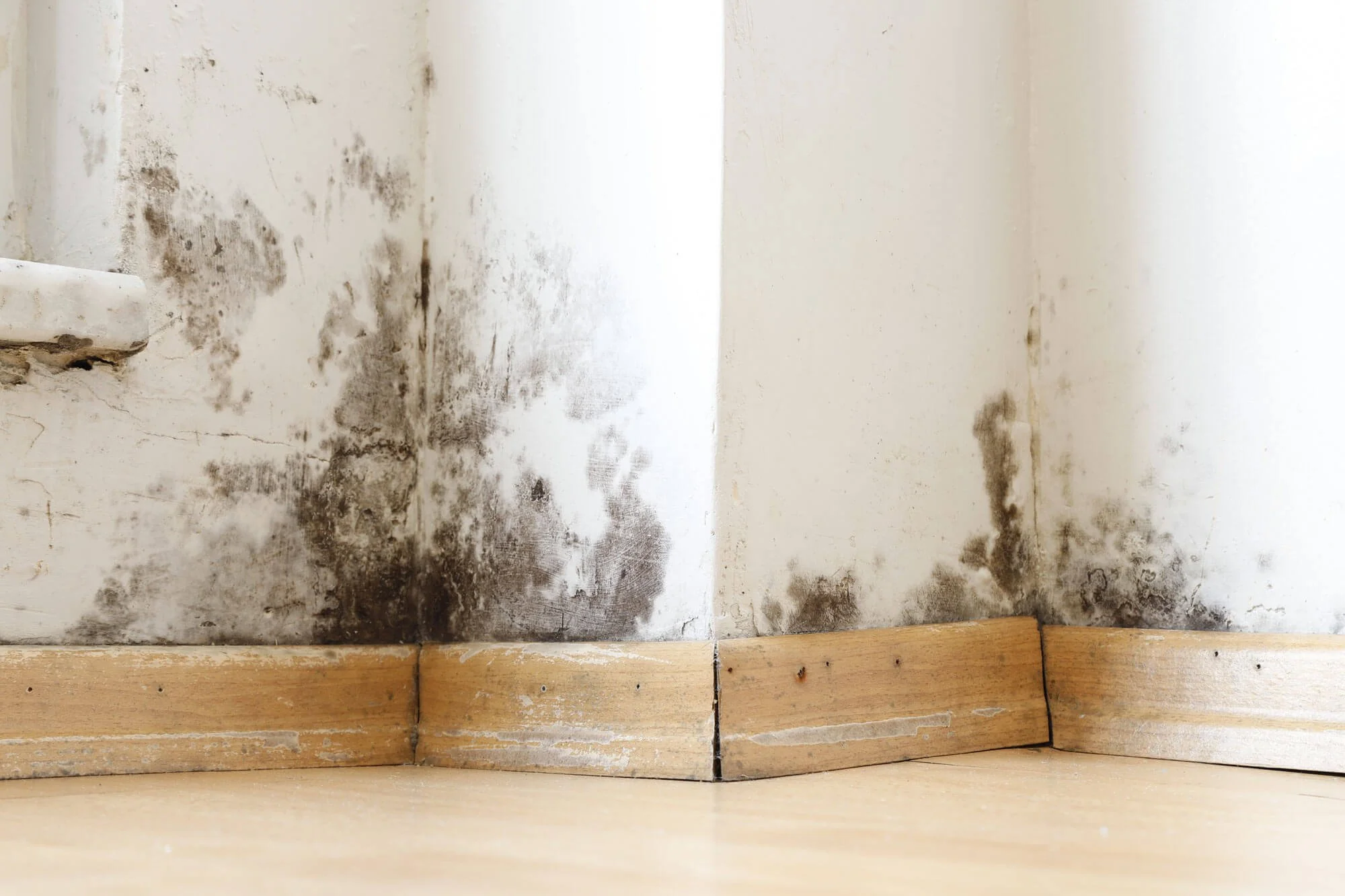 Humidité dans une maison : condensation, infiltration ou remontées capillaires ?