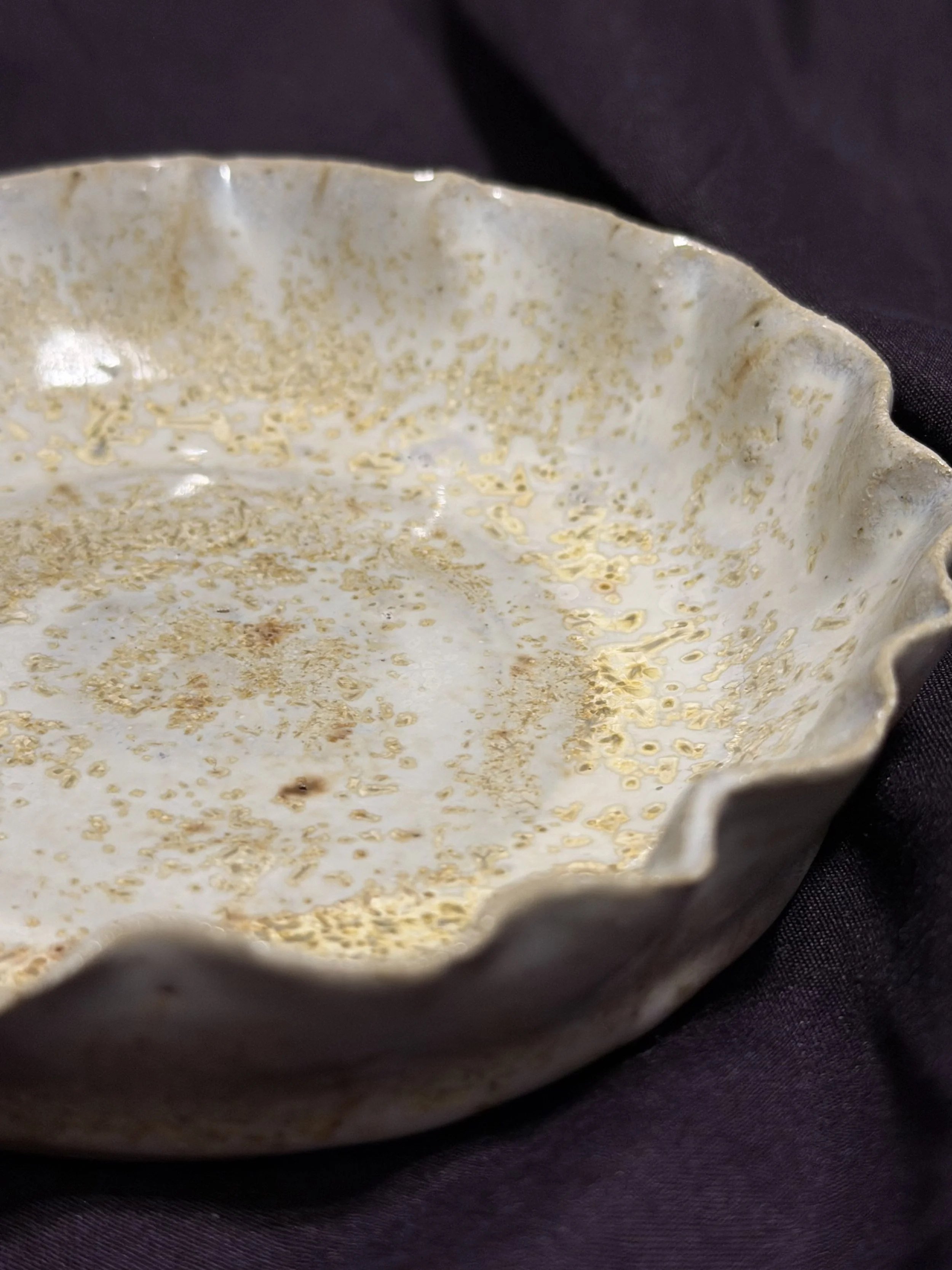 IMG_0012.jpeg
