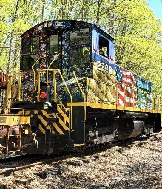 Colorful railroad locomotive with patriotic American flag mural parked on tracks in a wooded area.