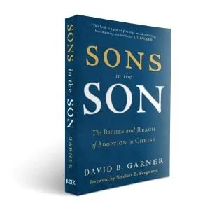 David B. Garner, Sons in the Son: The Riches and Reach of Adoption in Christ (Phillipsburg, NJ: P&amp;R, 2016).