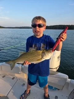 Young boy wearing sunglasses holding a large fish on a boat.