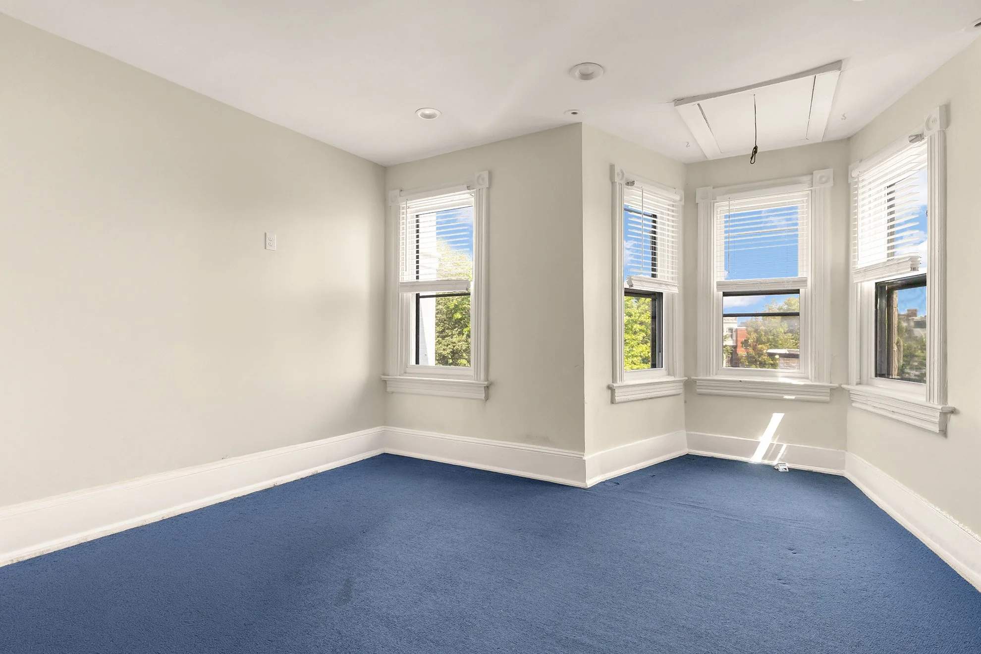 Empty room with cream-colored walls, blue carpet, and multiple windows with white blinds showing trees and blue sky outside.