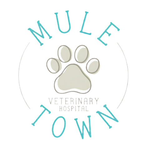 Mule Town Veterinary Hospital