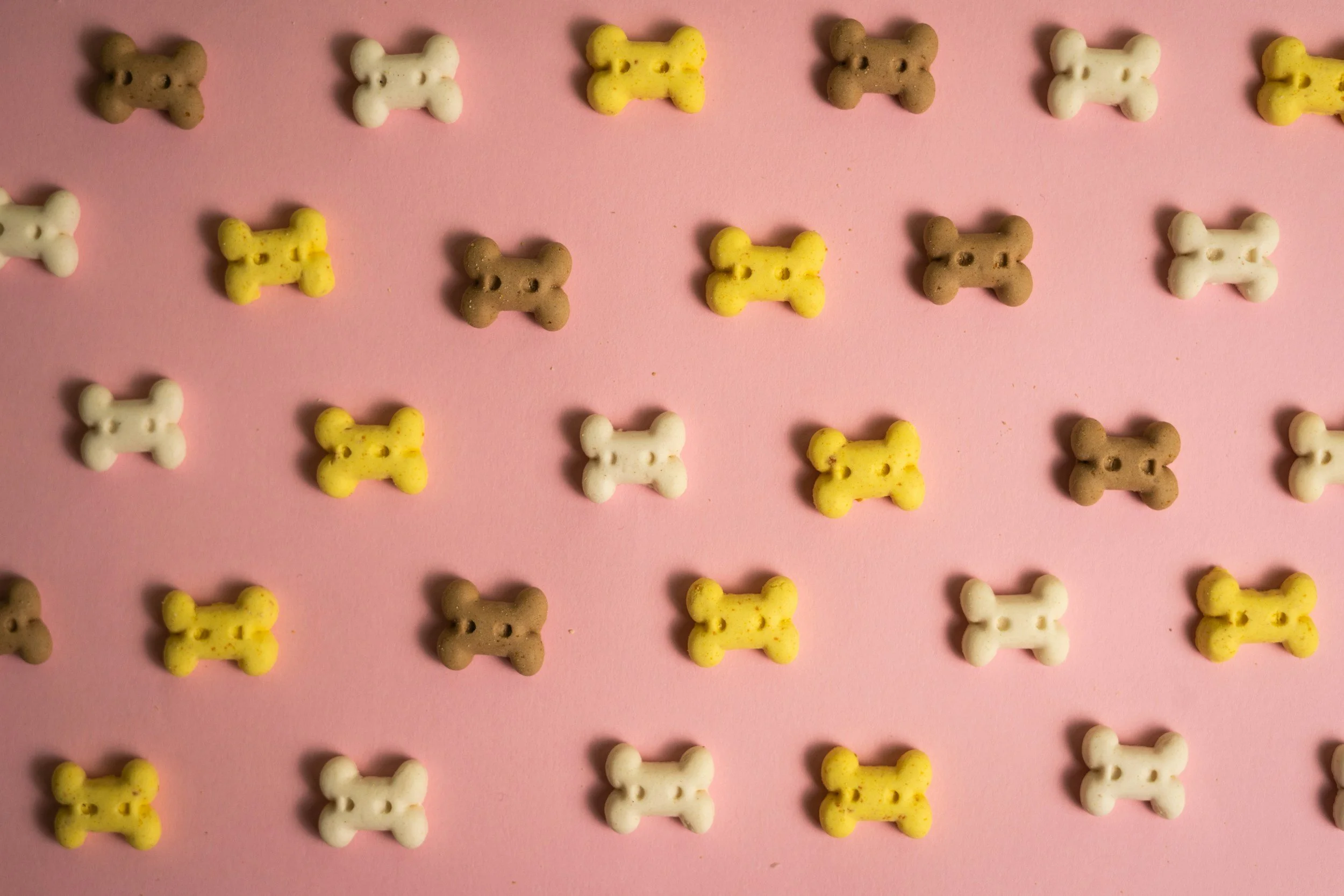 Multiple small, bone-shaped cookies in shades of brown, white, and yellow are arranged in rows on a pink surface.