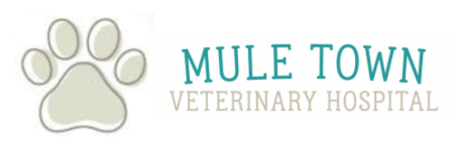 Mule Town Veterinary Hospital