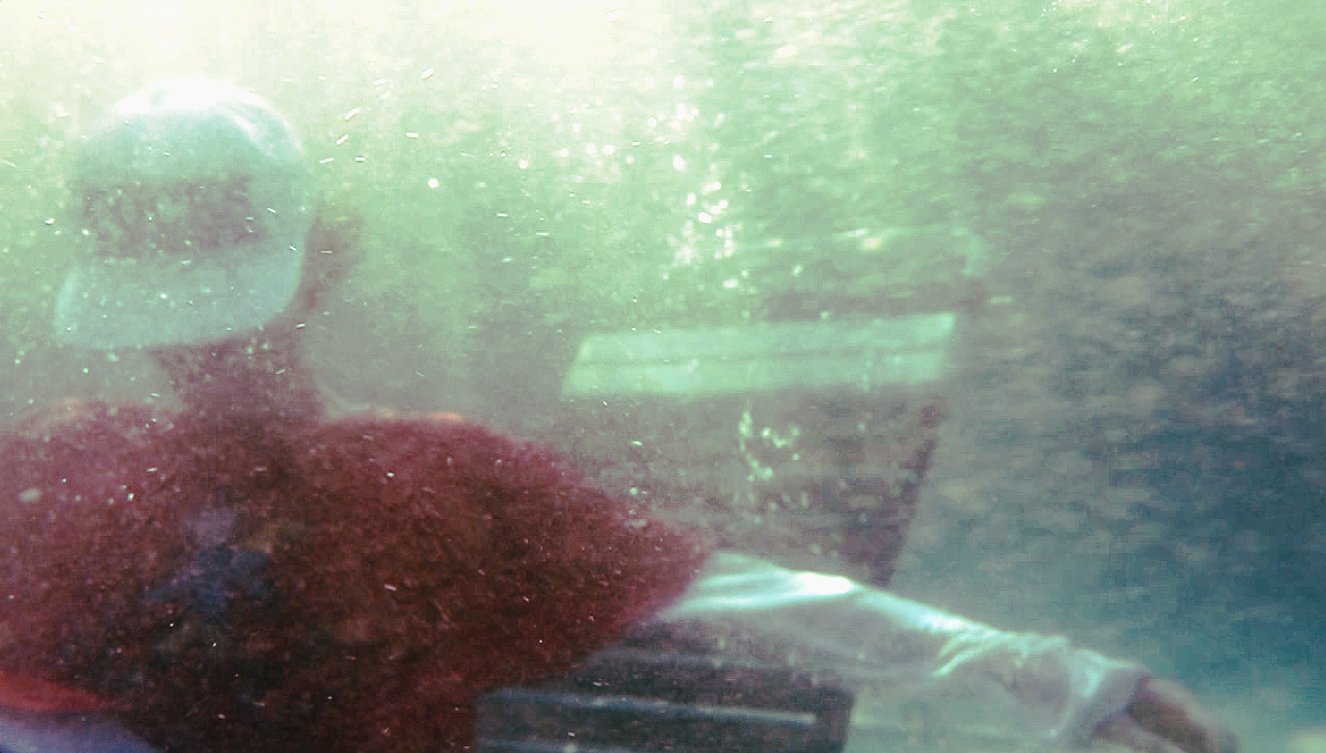 The image appears to be underwater with a blurry and chaotic scene, including parts of a person's face and brown hair.