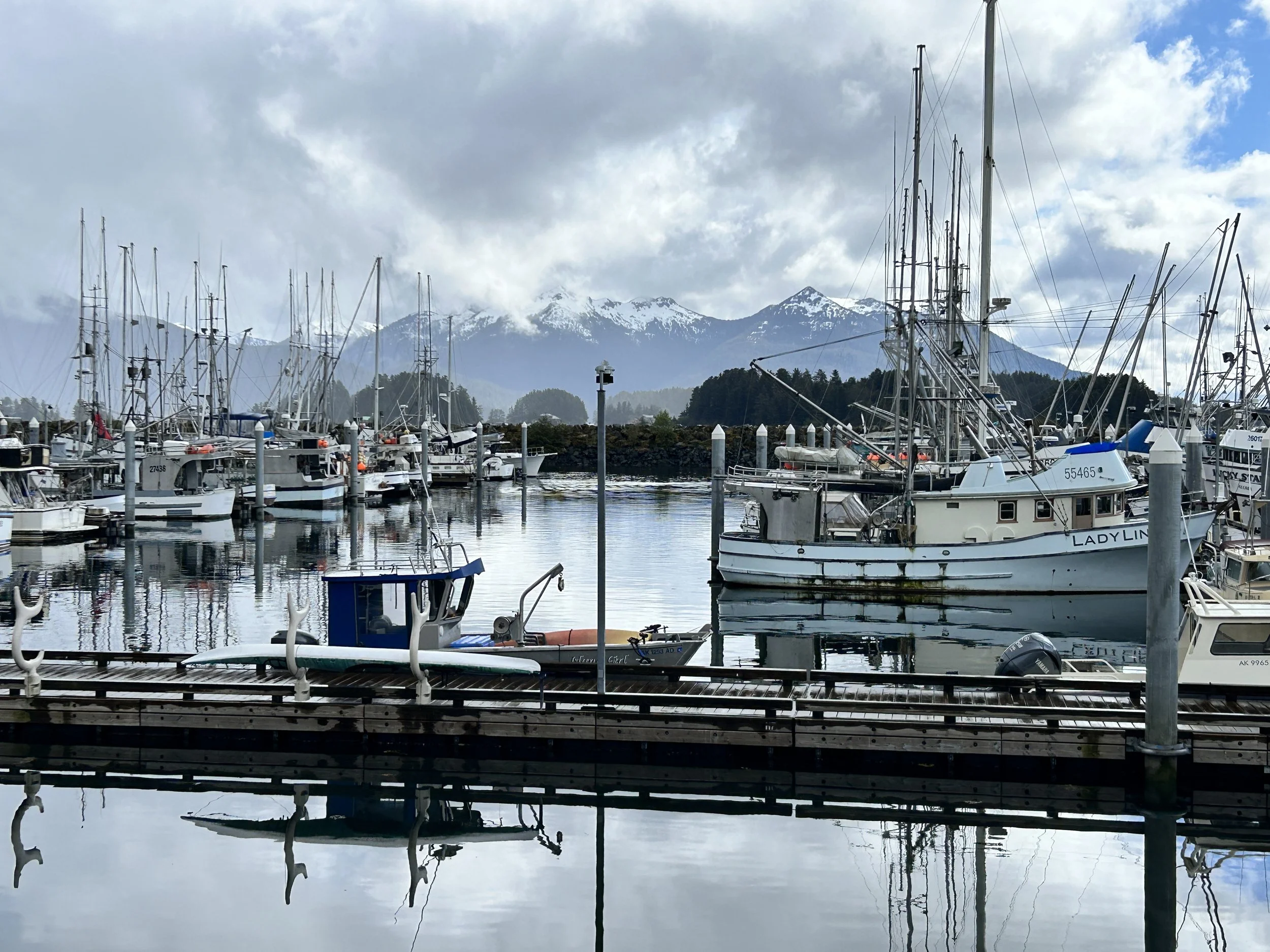 A marina with several sailboats and yachts docked, with snow-capped mountains in the background, cloudy sky above, and calm water reflecting the boats and sky in Juneau Alaska