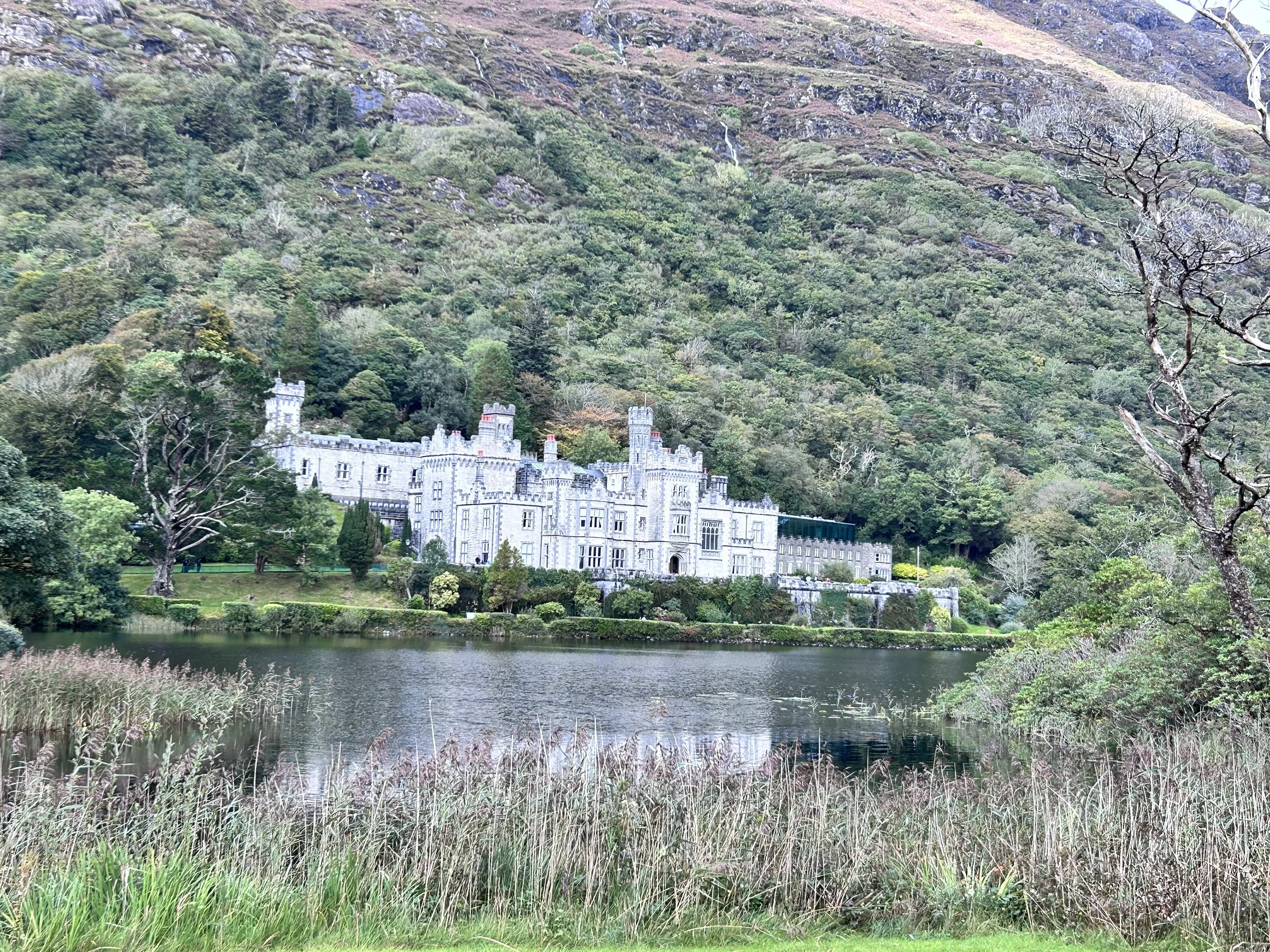 A large, historic castle with towers and battlements situated by a lake, surrounded by lush green trees and vegetation, with a mountain hillside in the background.