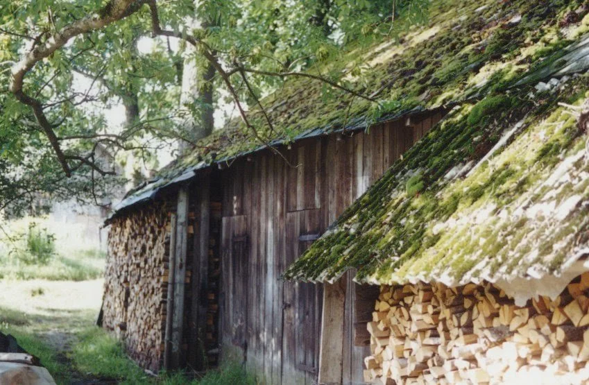 Old wooden shed with stacked firewood and moss-covered roof in a rural setting.