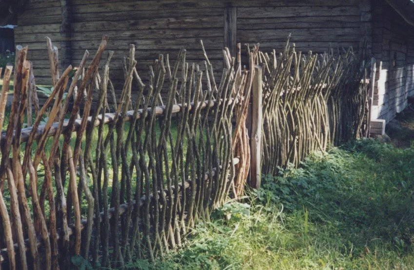 A rustic wooden fence made from irregularly shaped sticks, situated next to an old wooden shed with grass growing at its base in Cesis Latvia.
