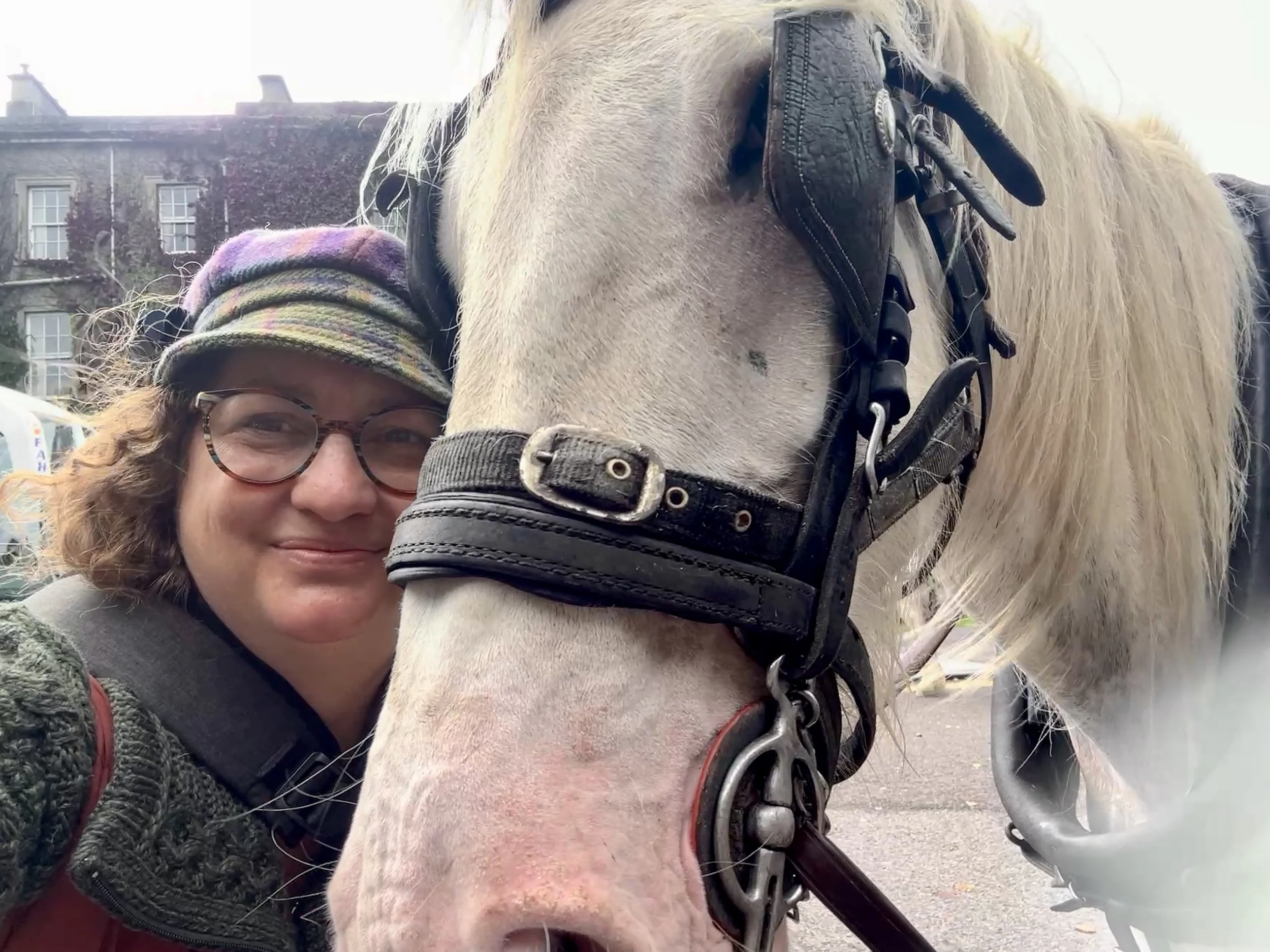 A person with glasses and a colorful hat taking a close-up selfie with a light-colored horse, both smiling, in Ireland.