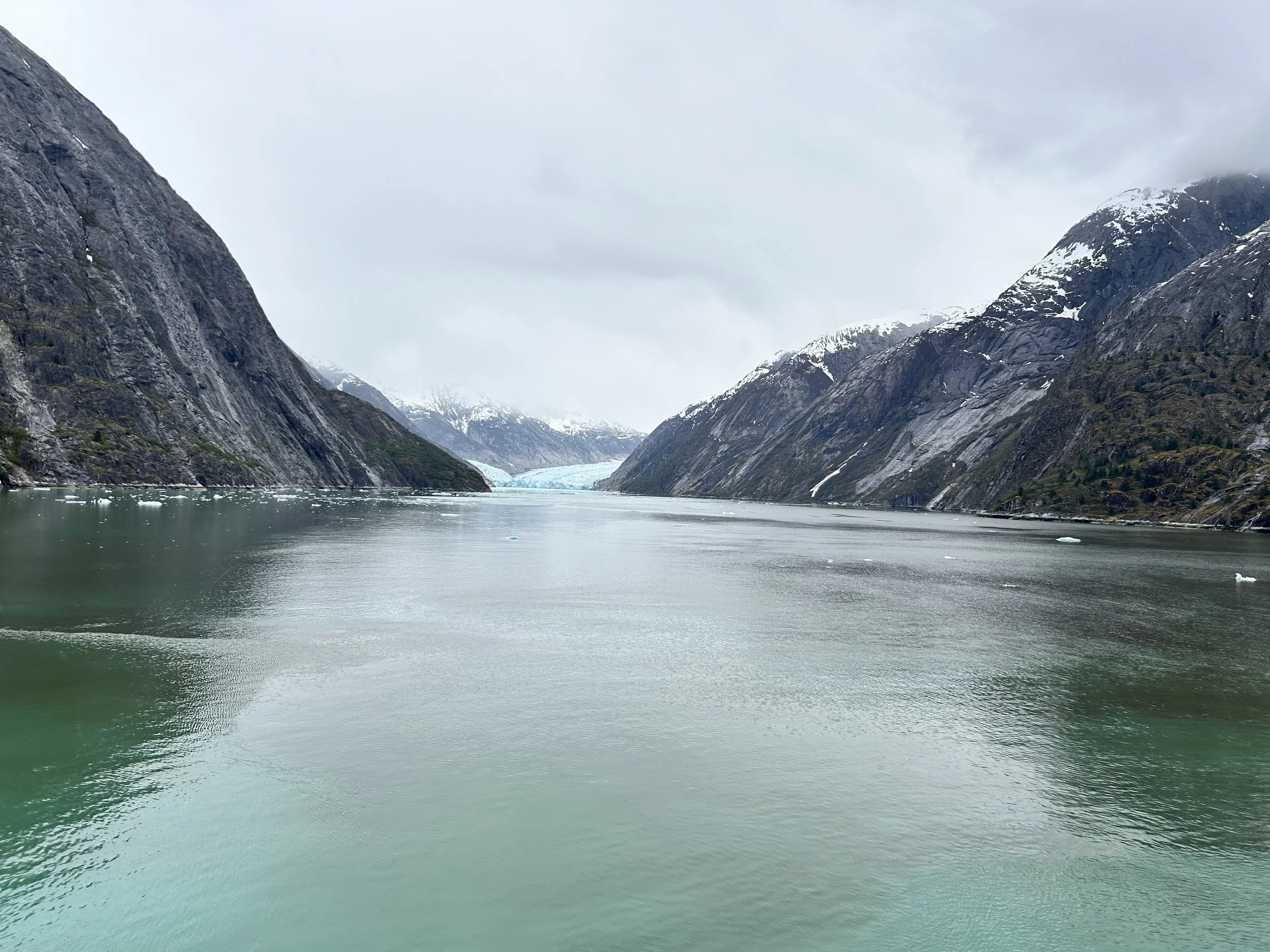 A body of water surrounded by steep, rocky mountains with snow patches, and a glacier in the distance under a cloudy sky in Alaska, Endicott Arms.