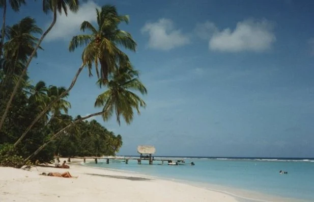 A tropical beach scene with white sand, palm trees, and clear blue water. A wooden pier extends into the ocean, and there are a few people relaxing on the beach in Tobago.