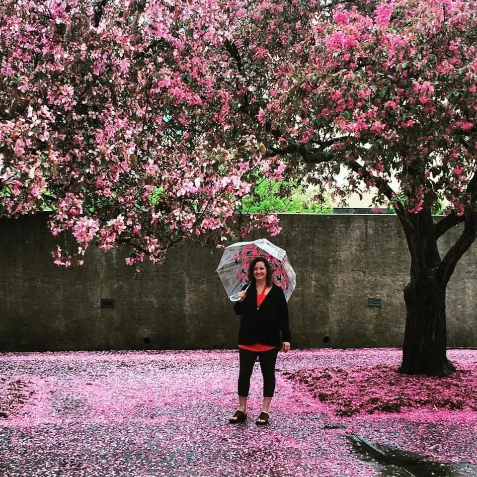 A woman holding an umbrella stands under a blooming pink cherry blossom tree with pink petals covering the ground.