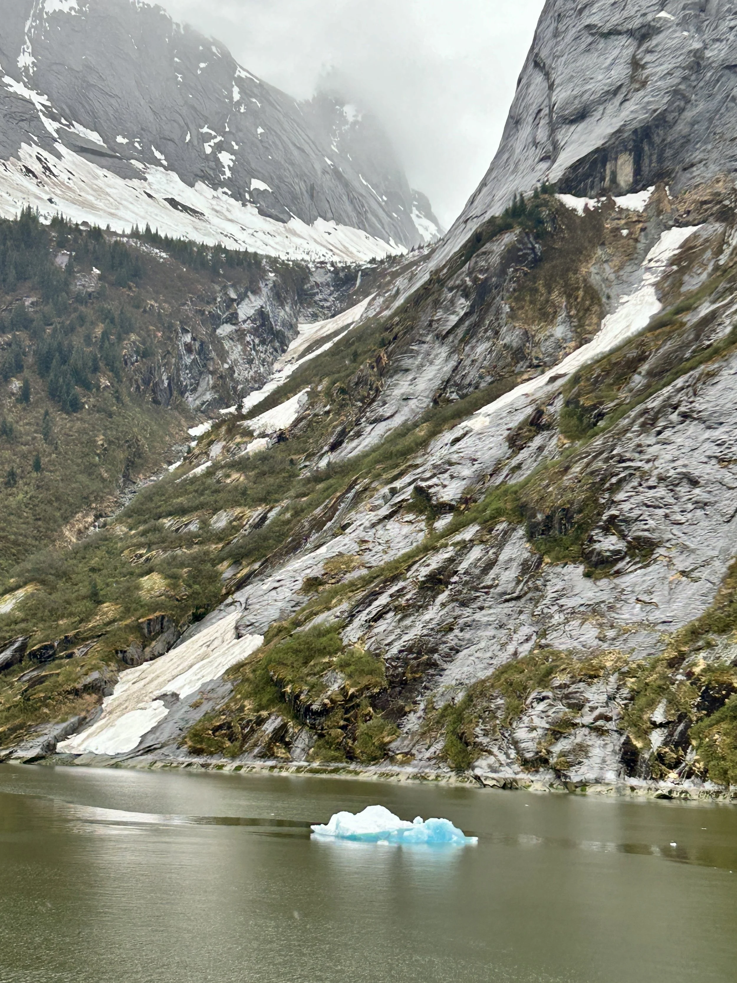 A lake with a small floating iceberg set against steep rocky mountain slopes, some snow-covered, with sparse greenery and cloudy sky in Alaska's Inner passage. 