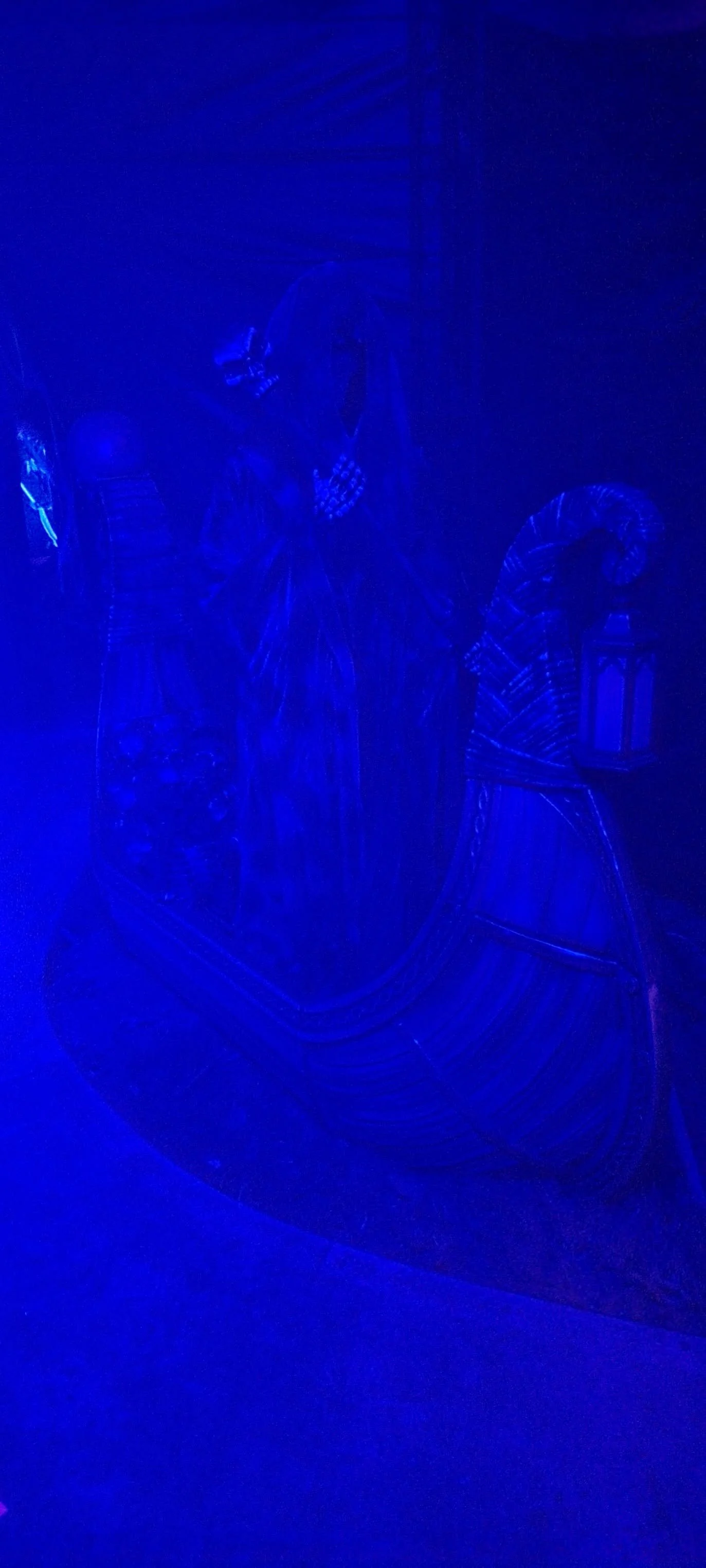765716425_122130460509347987_794687817751397335_n.jpg