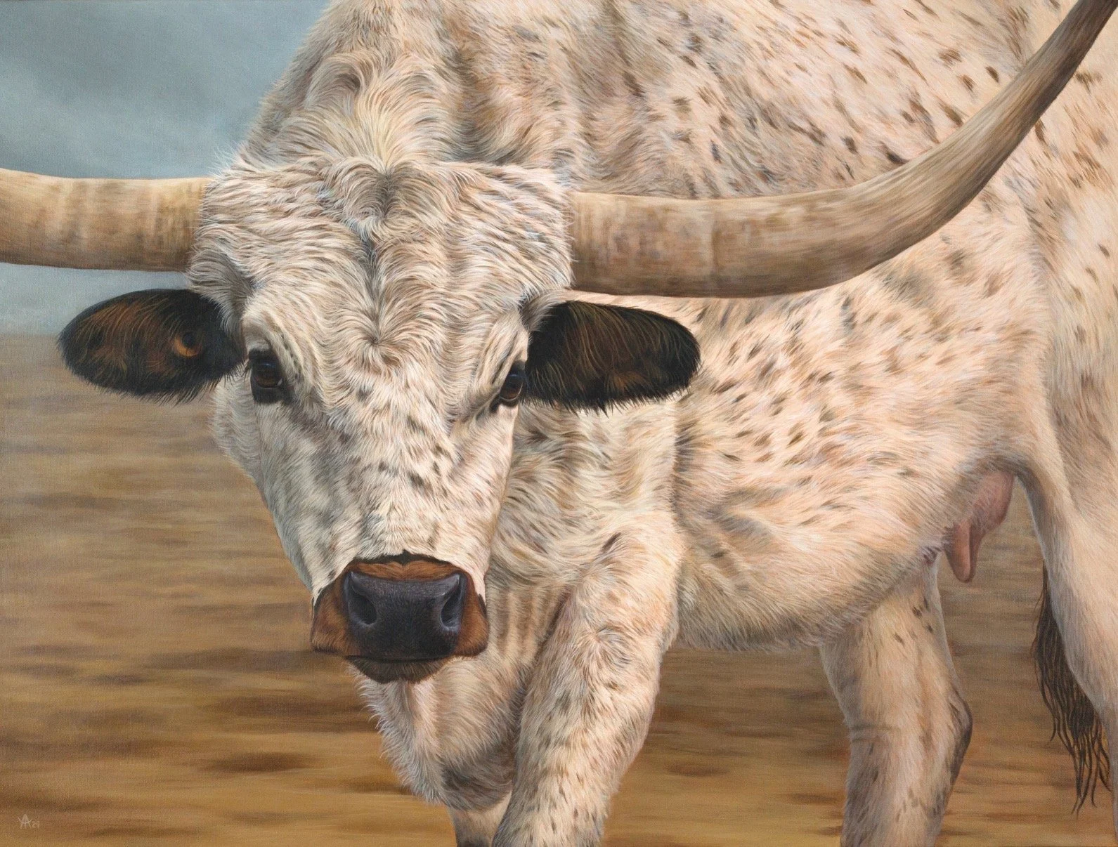 Longhorn.jpg
