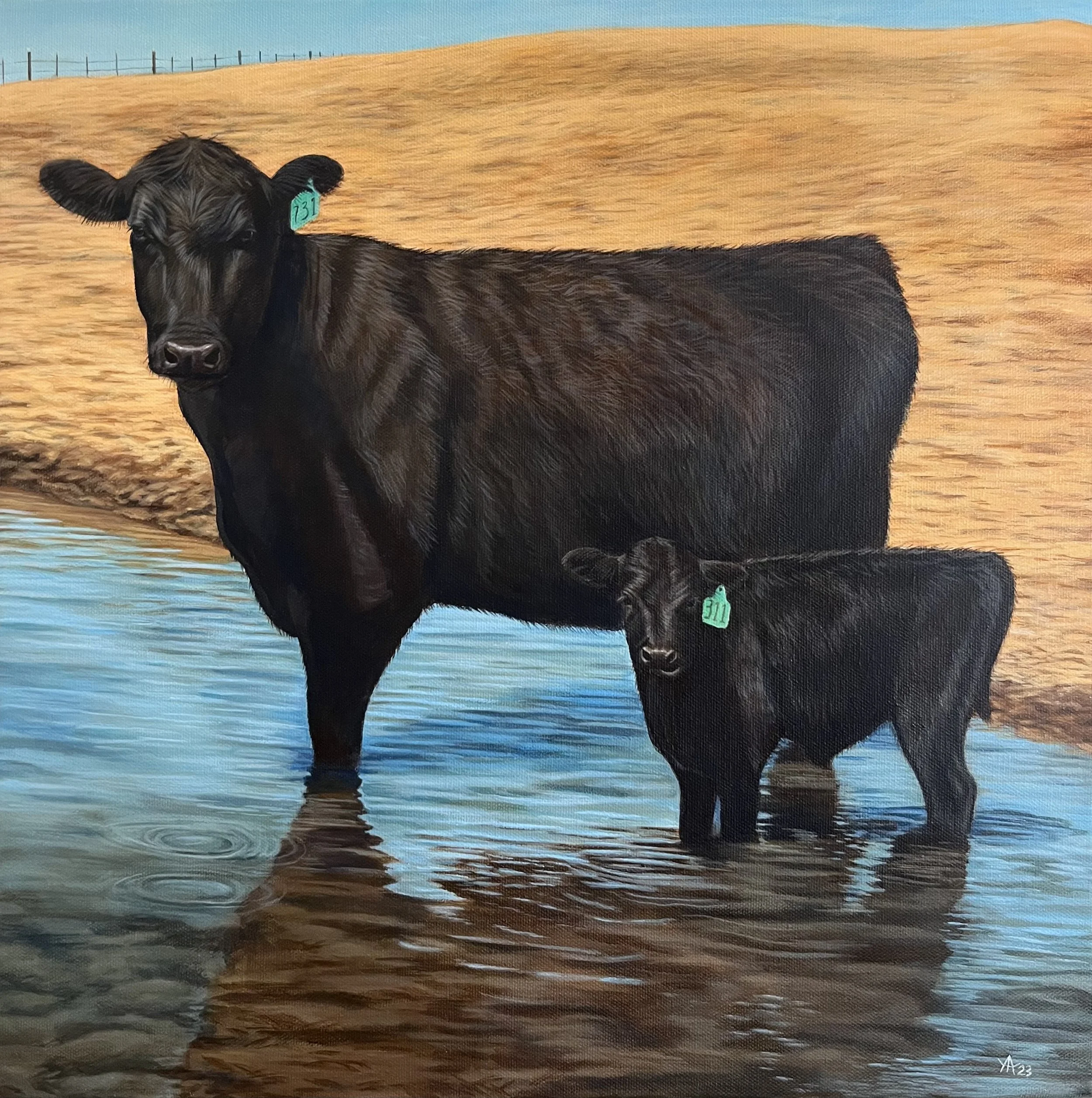 Baby's First Dip - framed