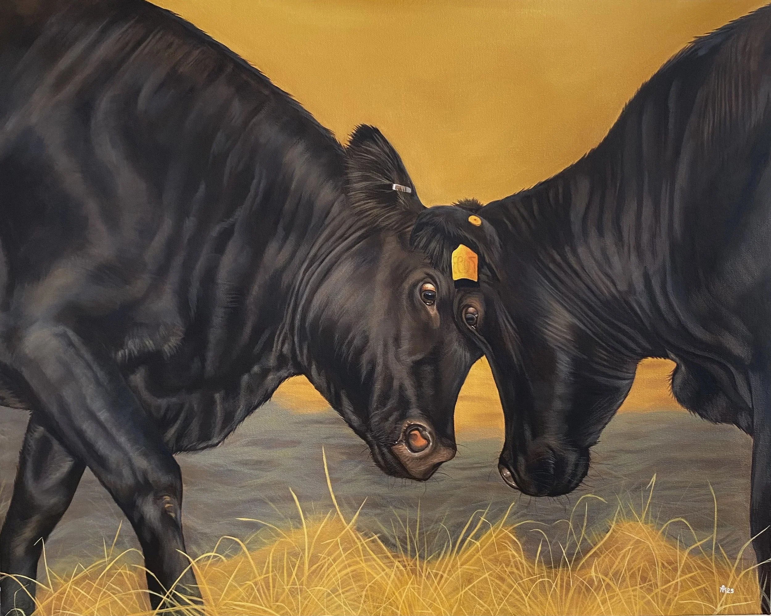 Cows with Beef