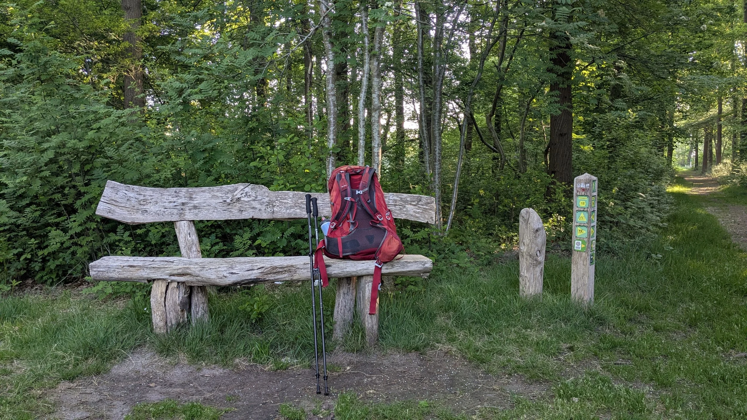 A weathered wooden park bench with a red hiking backpack and two trekking poles resting on it, located on a grassy area near a forest trail with dense green trees and a small informational signpost nearby.