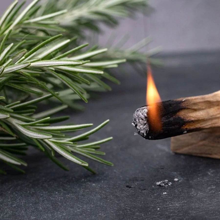 palo santo and sandalwood.jpg