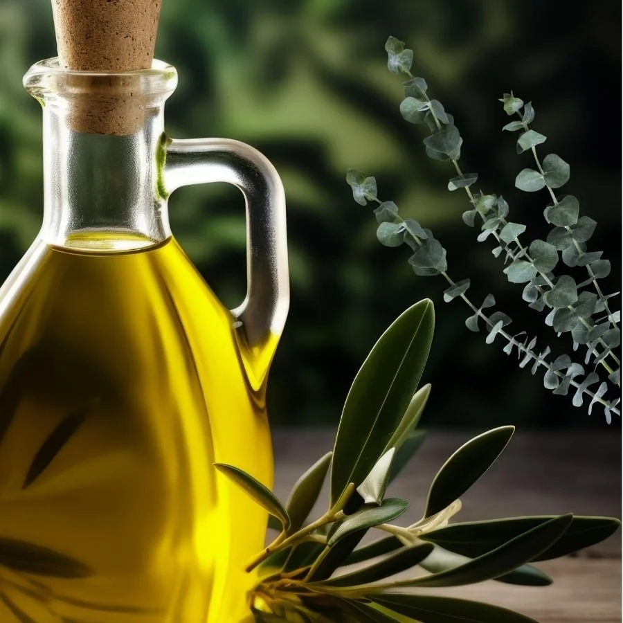 White eucalyptus and olive leaf.jpg