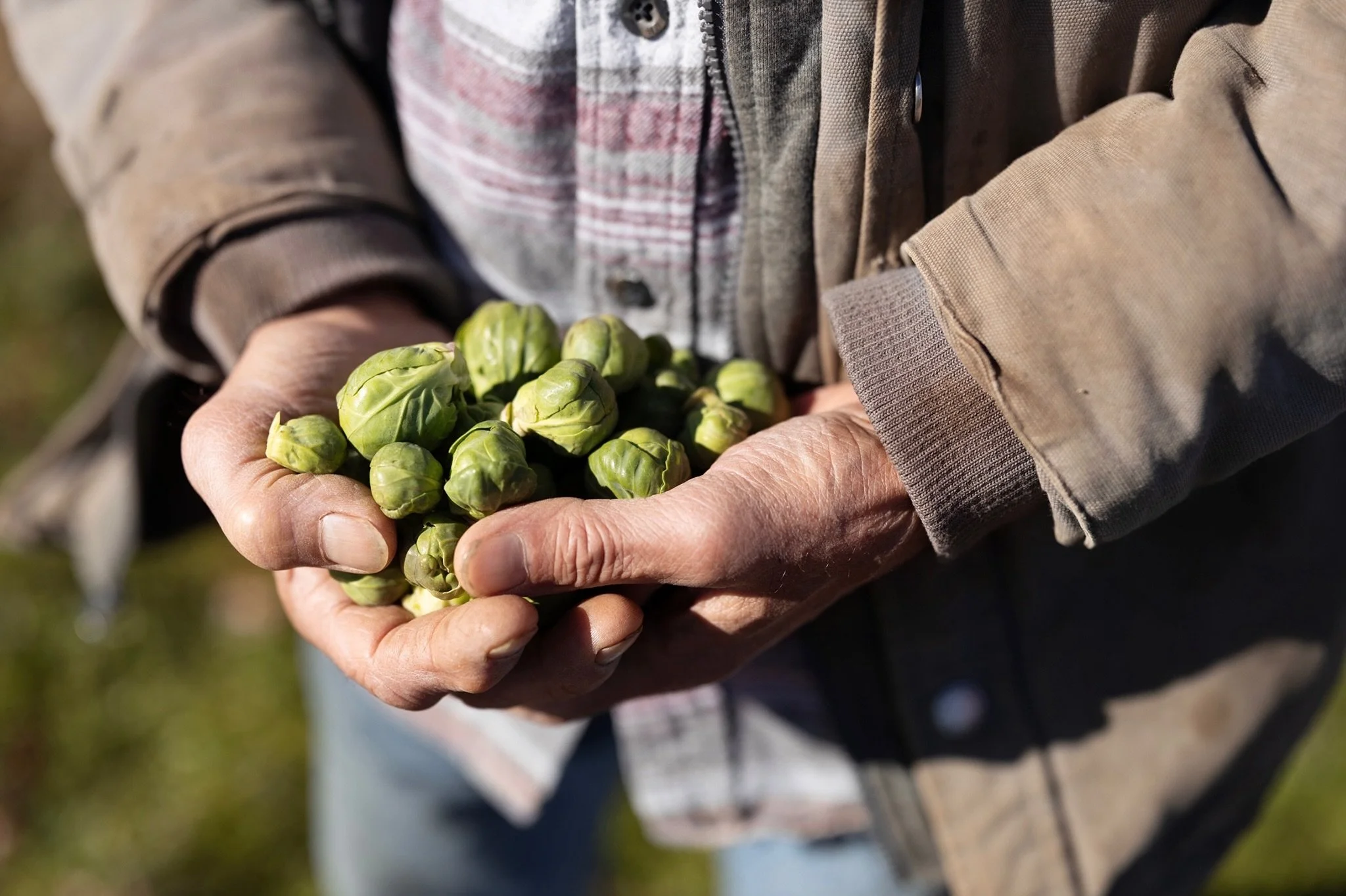 @fullmoonfarmorganic &ldquo;We always ask the chefs, &lsquo;What do you want us to grow? What would you like?&rsquo; And we try to grow it for them.&rdquo;