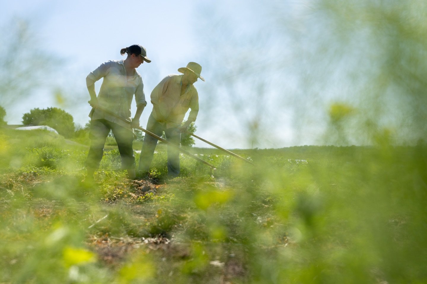 Working with the land, not against it.