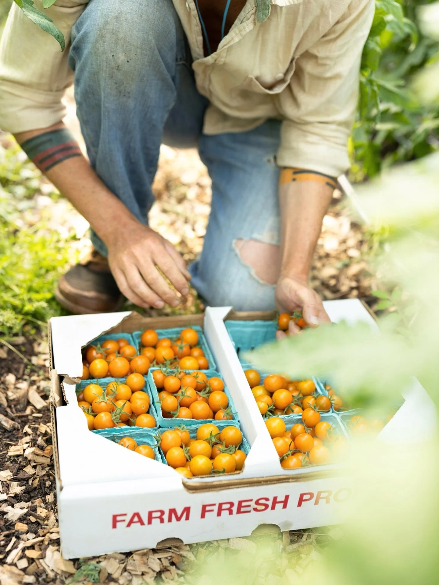 The earth grows the food, but the farmer feeds the people.