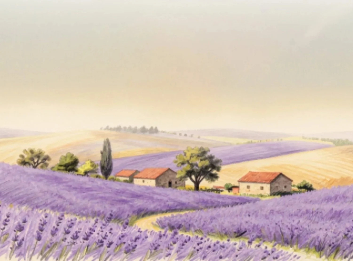 Landschaft mit Lavendelfeldern, kleinen Häusern und wenigen Bäumen im Hintergrund bei sonnigem Himmel. Titelbild Editioin Mühlwiese Anne Deus