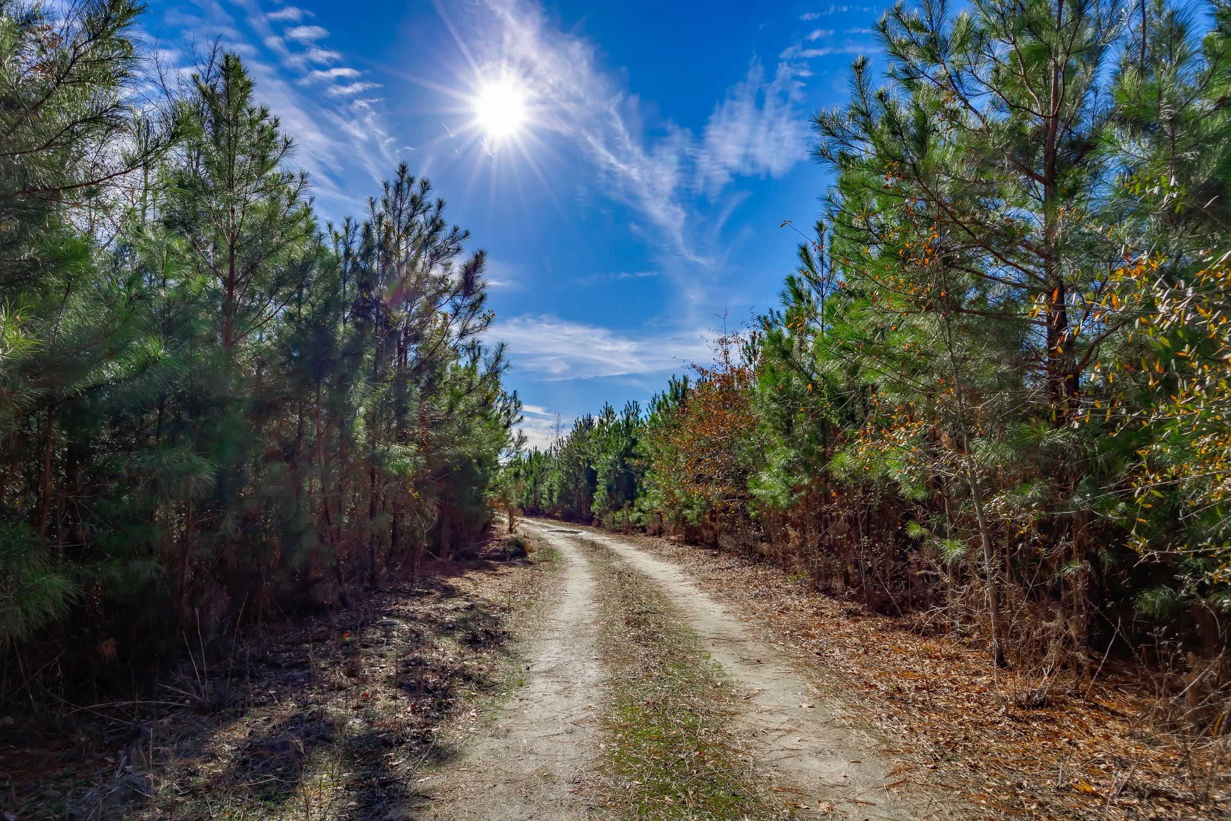 Choosing the Right Real Estate Professional for Your Land Transaction