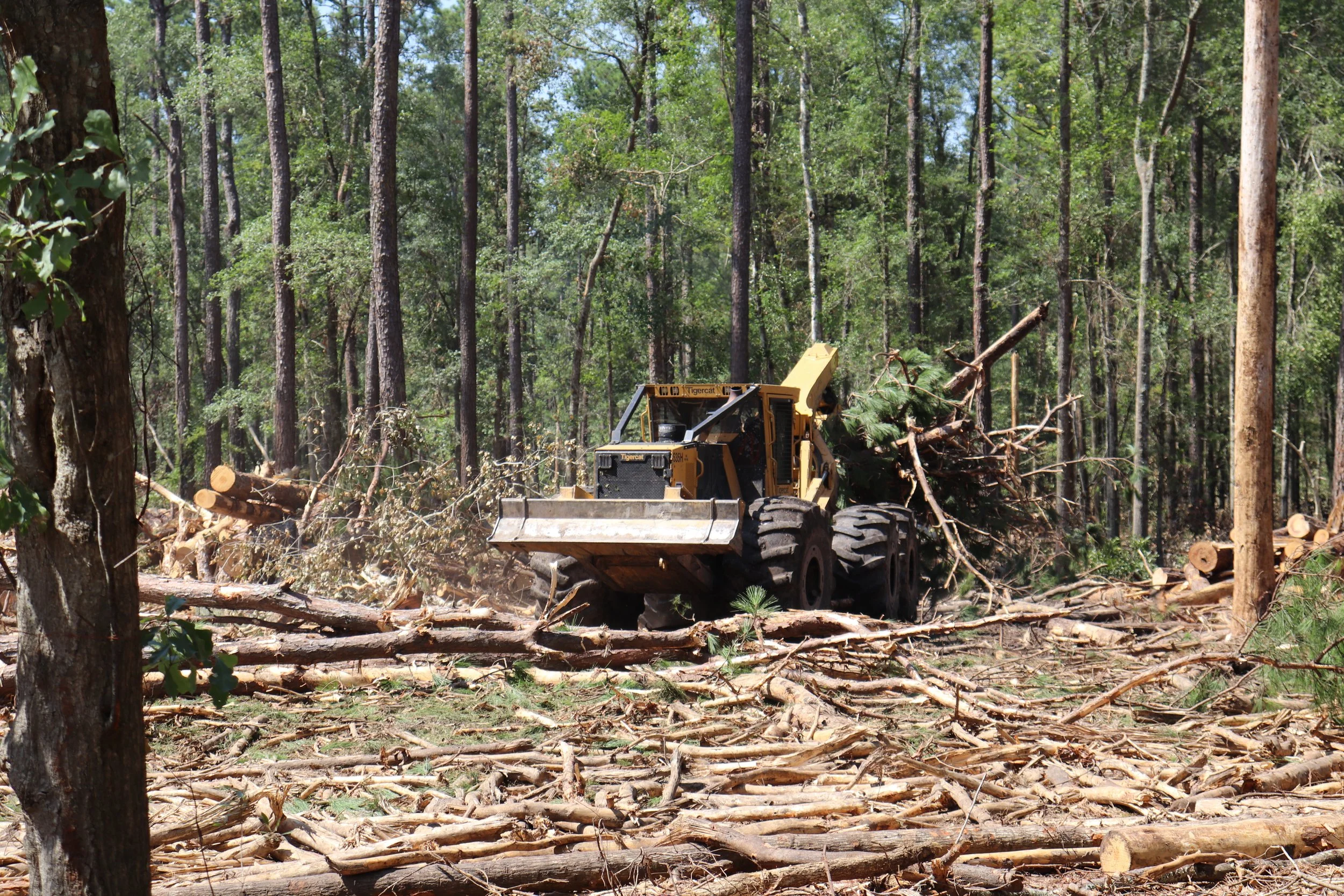 Working With Your Land Resources: Why Land and Forestry Expertise Matter