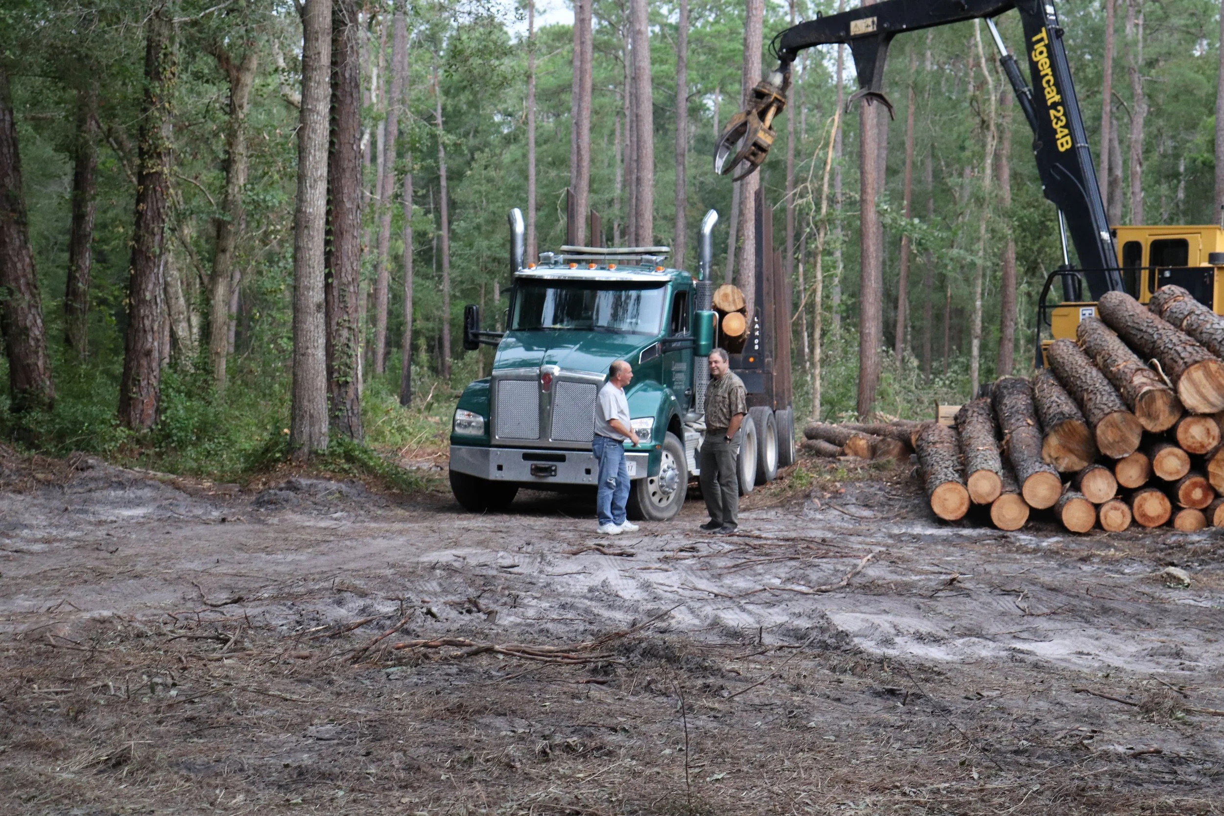 The Changing Southern Forest Economy: What It Means for Forest Landowners