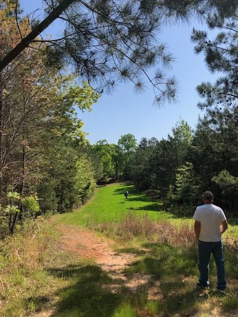 A man standing on a grassy trail surrounded by trees under a blue sky.