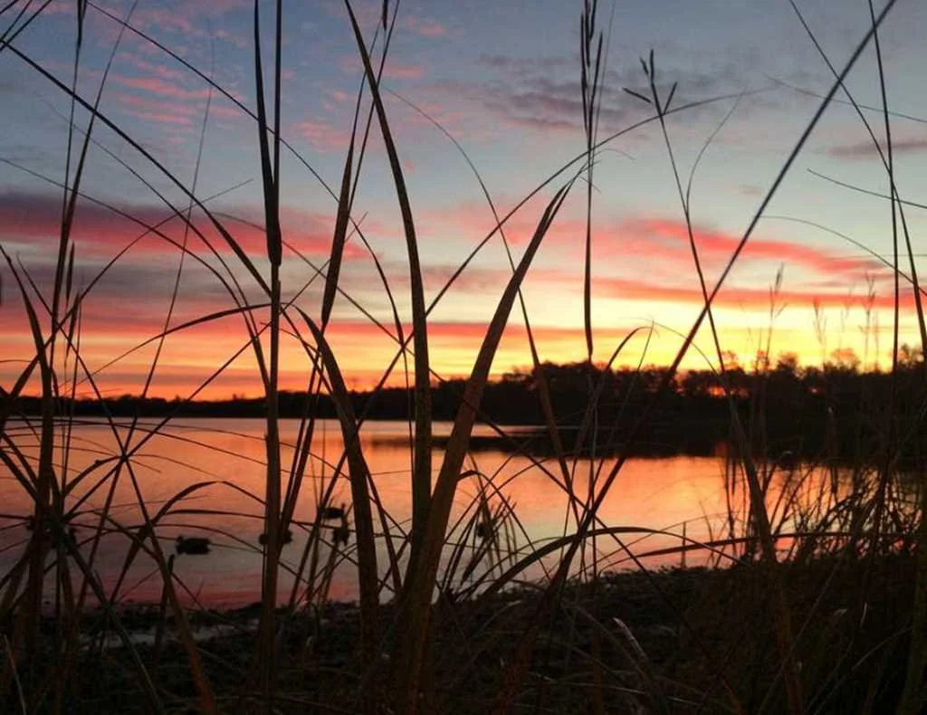 Sunset over a calm river with colorful pink, purple, and orange hues in the sky, framed by tall grass in the foreground.