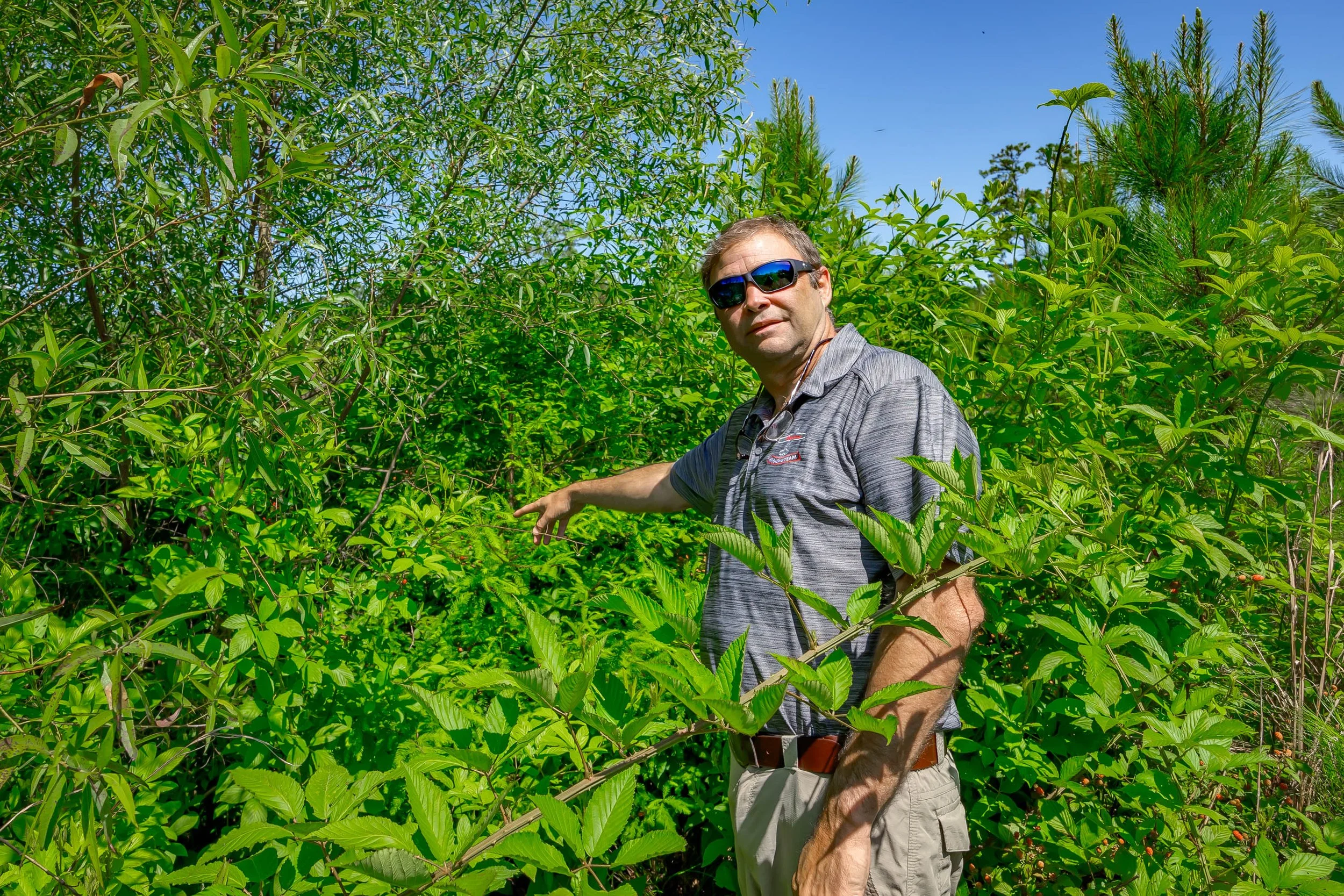 A man wearing sunglasses, a gray striped shirt, and khaki shorts standing among green bushes with blue sky in the background.