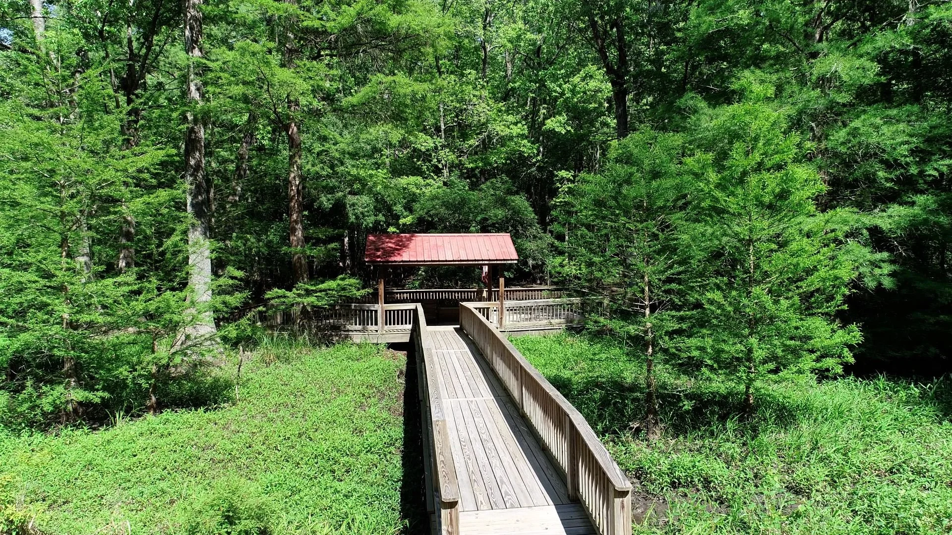 Wooden boardwalk leading to a small shelter with a red roof, surrounded by dense green forest.