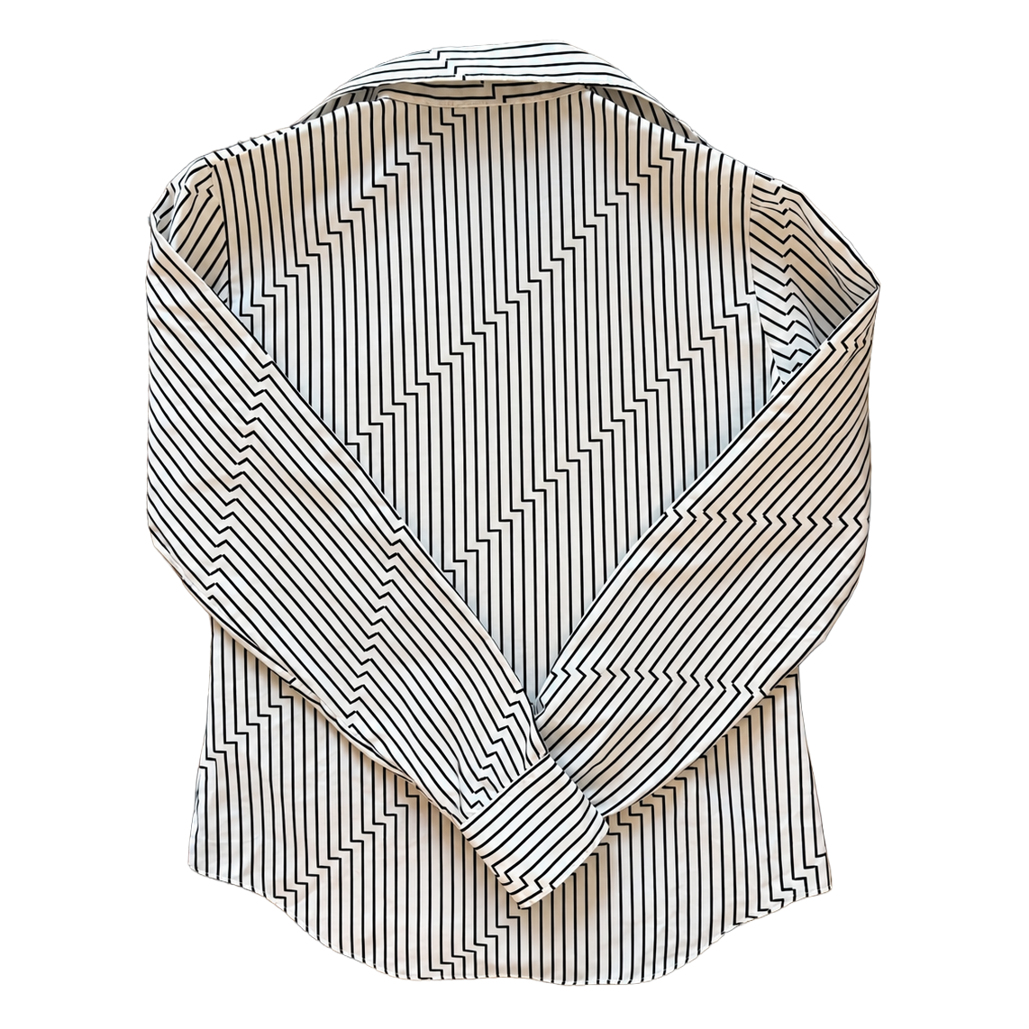 Tucci Buttondown - Back.png