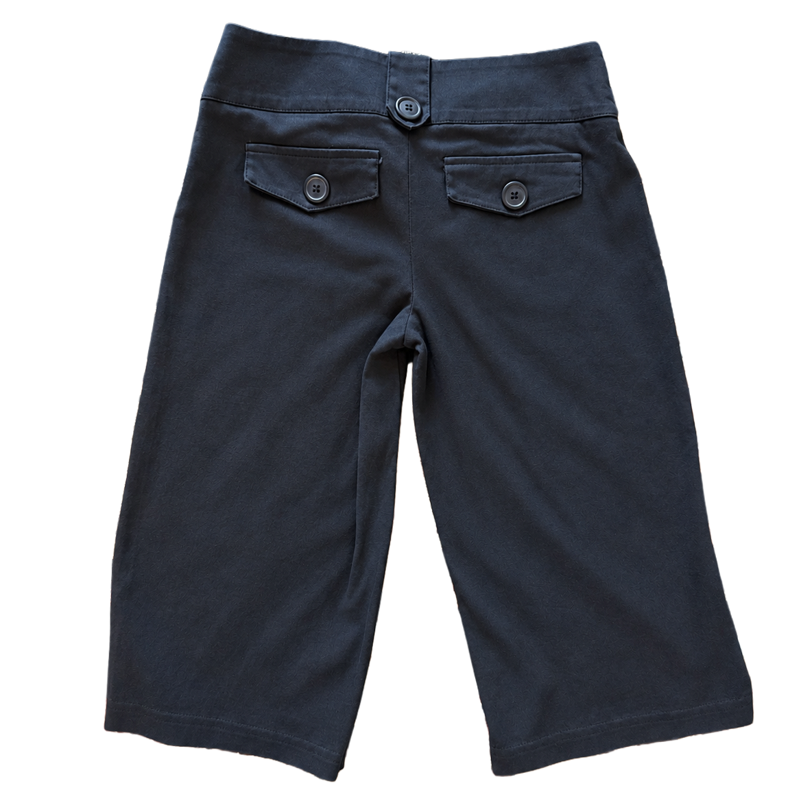 Lipsy Capris - Back.png