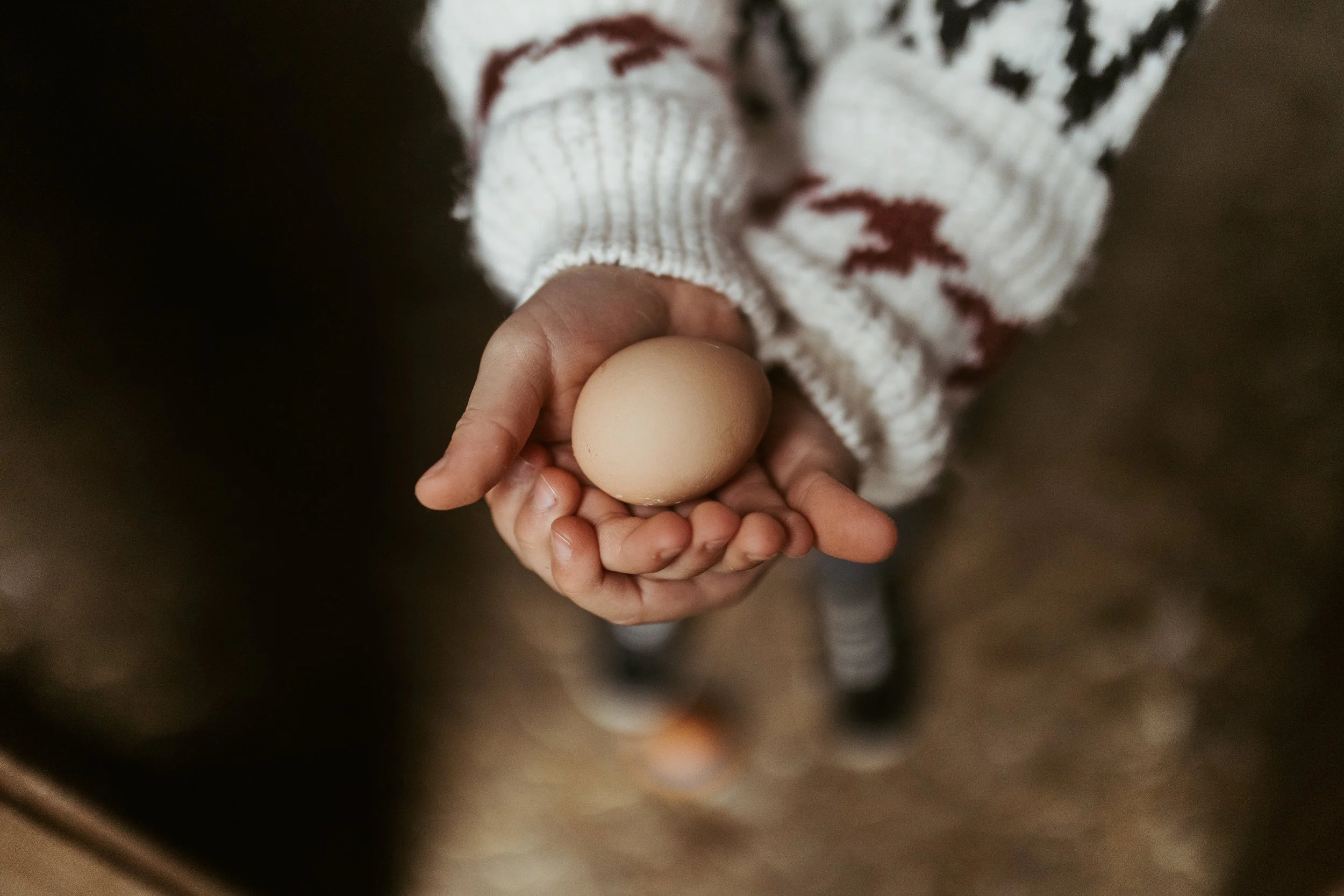 A child's hand holding a brown egg against a background of a person's towel with black and red patterns.
