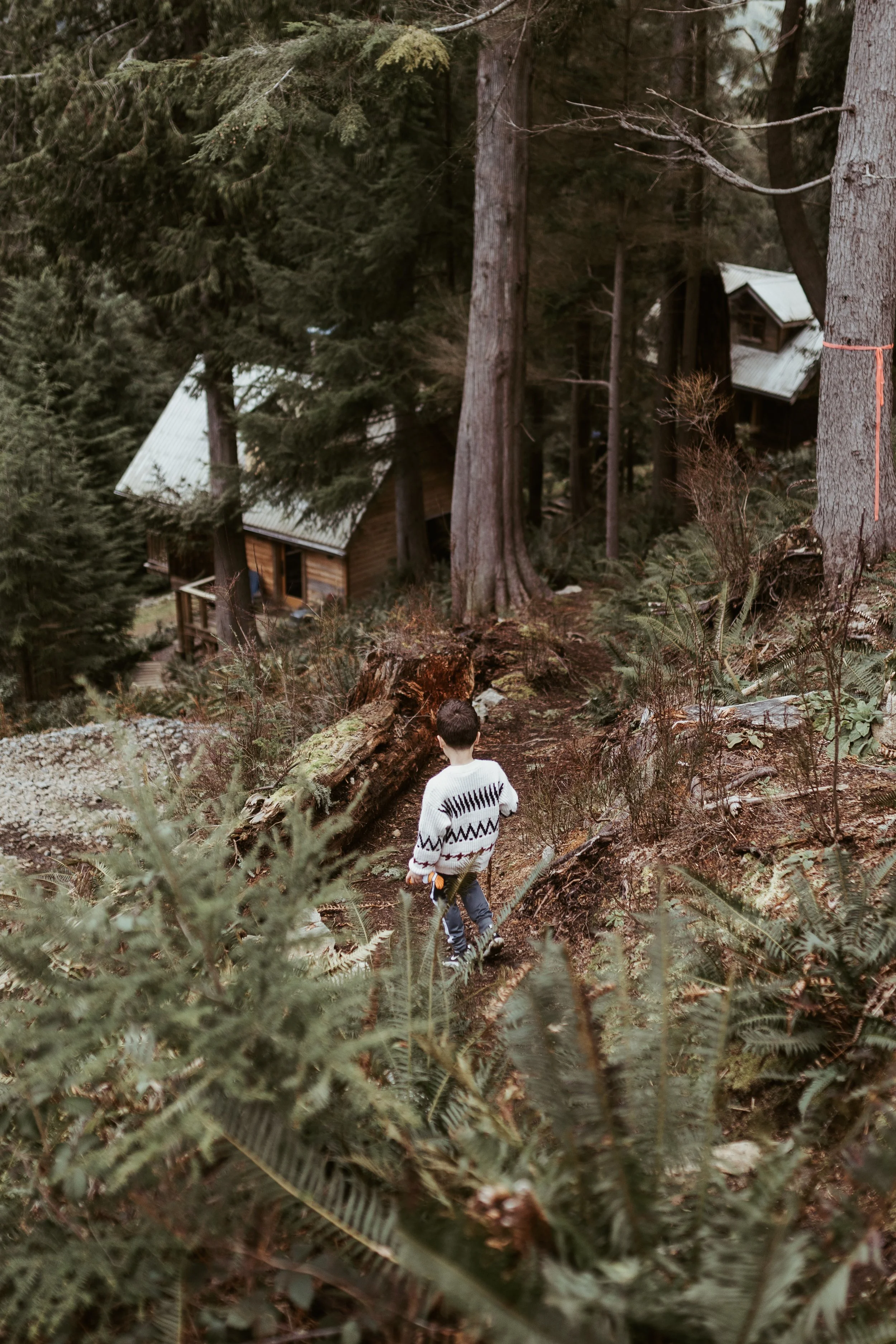 A person walking on a forest trail surrounded by tall trees and dense foliage, with wooden cabins visible in the background.