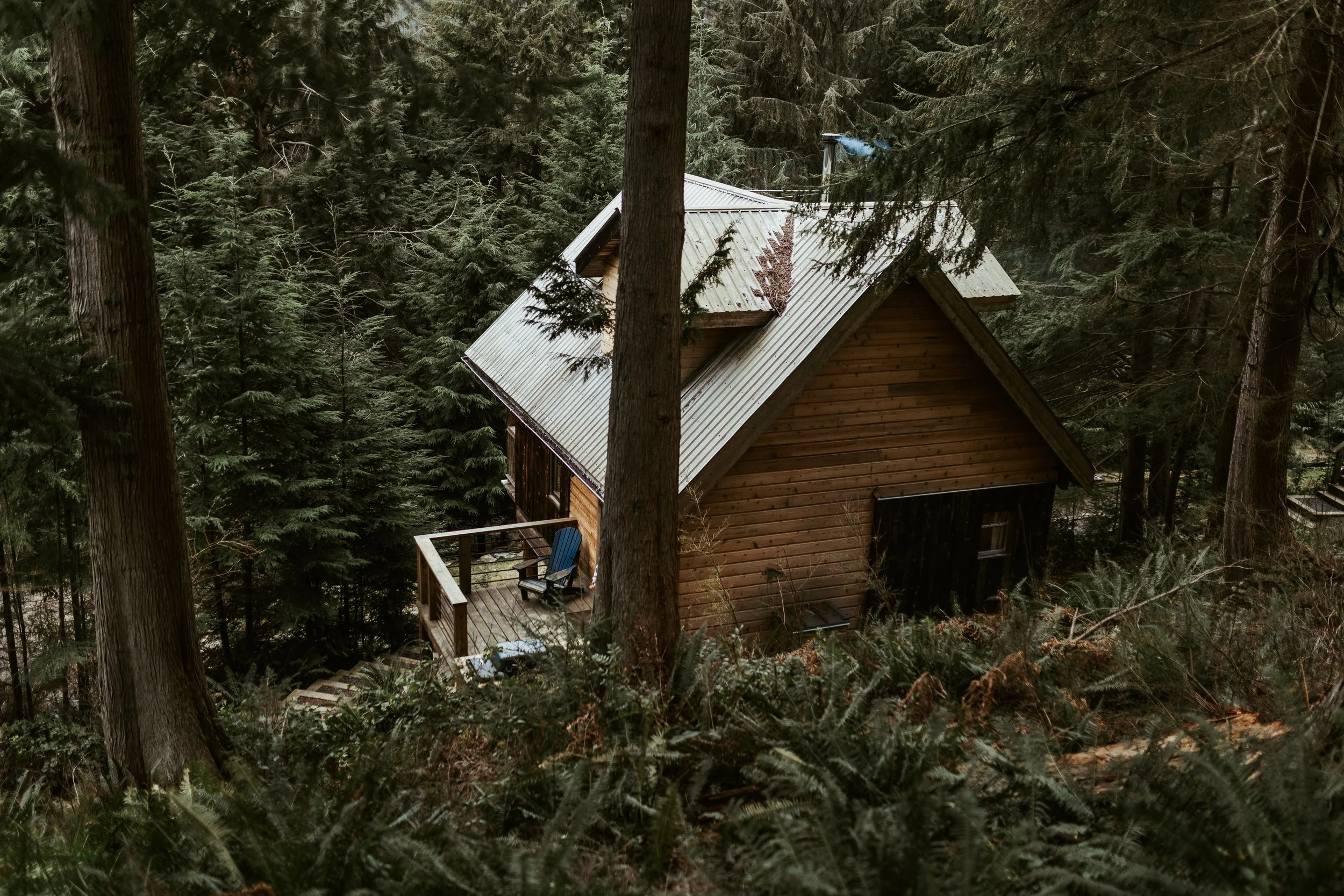 A wooden house with a metal roof is nestled among tall trees in a dense forest.